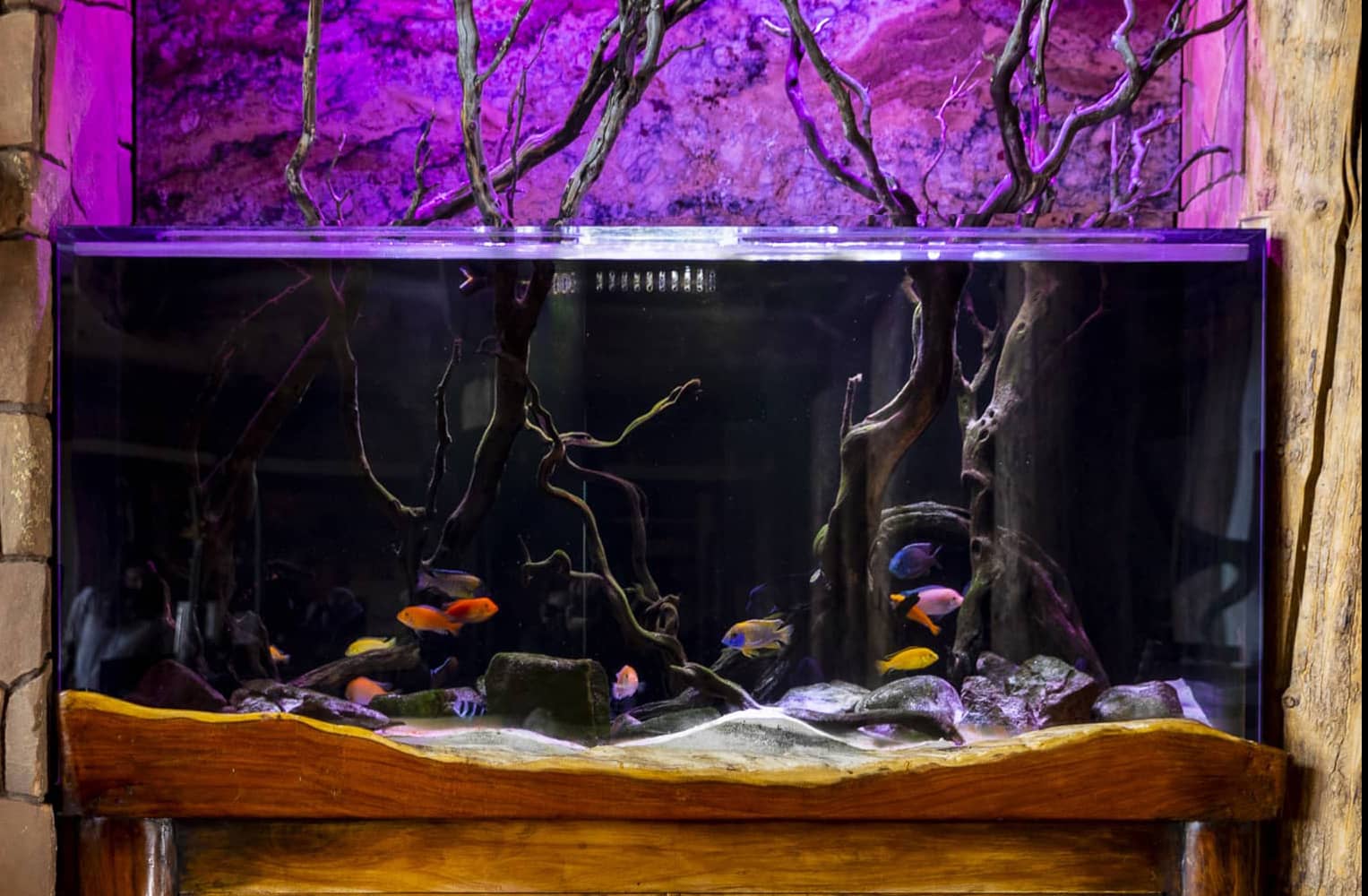 FishTank-BlamerRanch-©gabriellamarksphoto-02-landscape