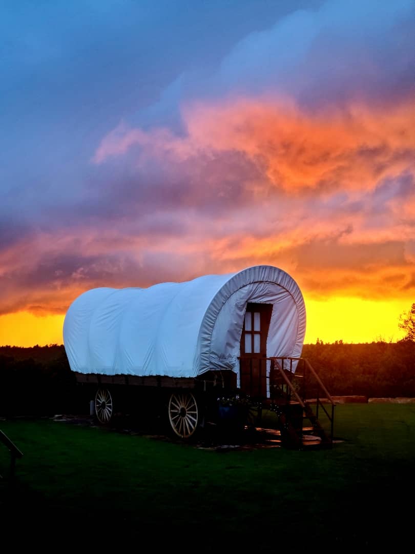 Resized_20210803_195829