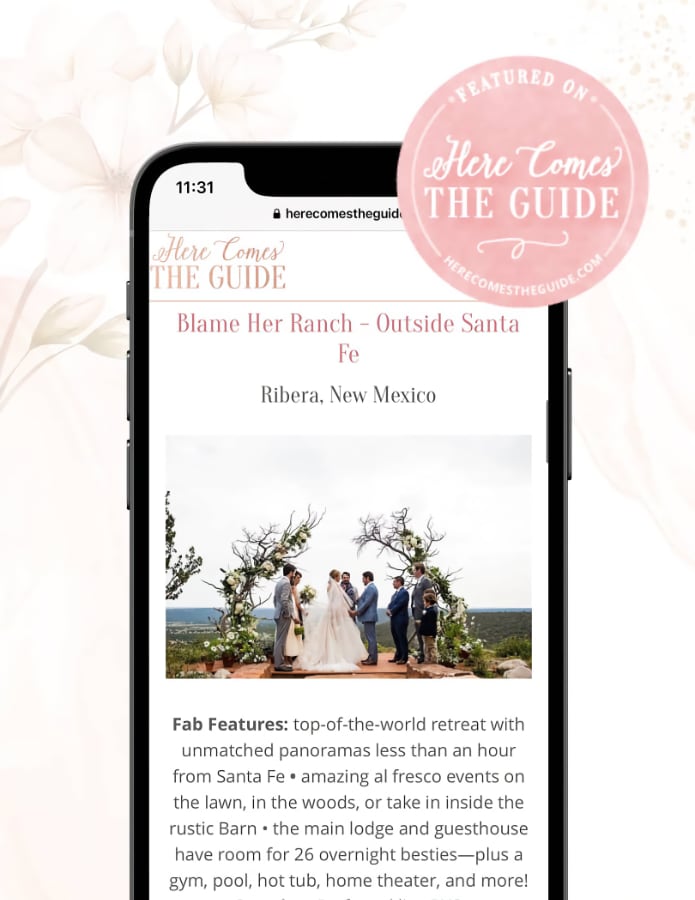 Here Comes the Guide cover image